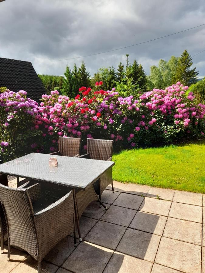 Haus Eifel Villa Kerschenbach Ngoại thất bức ảnh